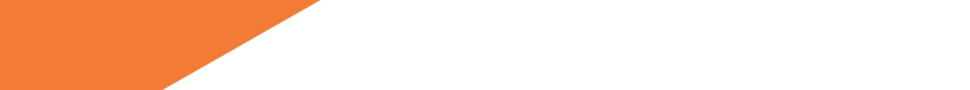 spot_img