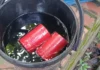 ঝিনাইদহে ককটেল সদৃশ বস্তু উদ্ধার